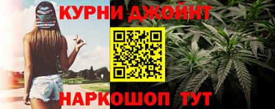 шишки Бийск
