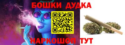шишки Бийск