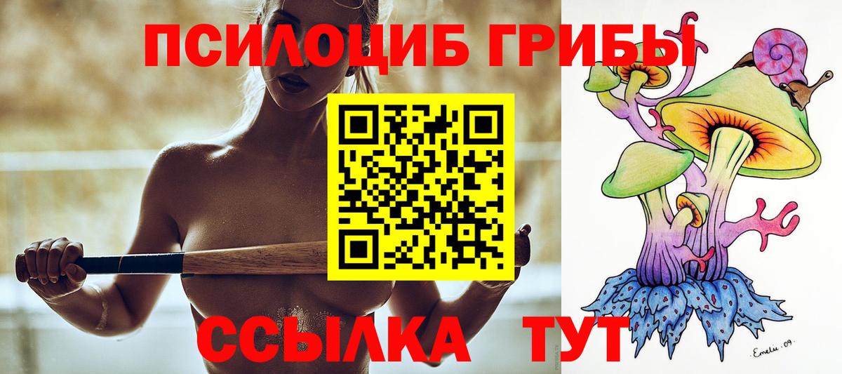 Ачхой-Мартан  Галлюциногенные грибы прущие грибы  Вход с VPN 